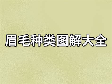 眉骨高面相|眉毛面相图解大全：28种眉毛类型图文详细分析！